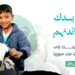 أضحيتك سنّة تُحييها وفرحة تُهديها 