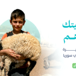 أضحيتك سنّة تُحييها وفرحة تُهديها